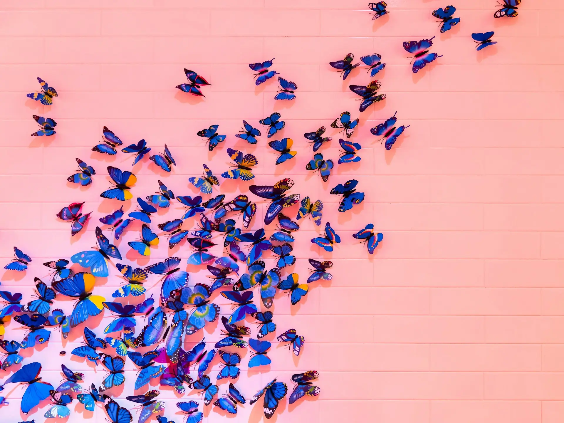 colorful butterflies flying across a pink brick wall